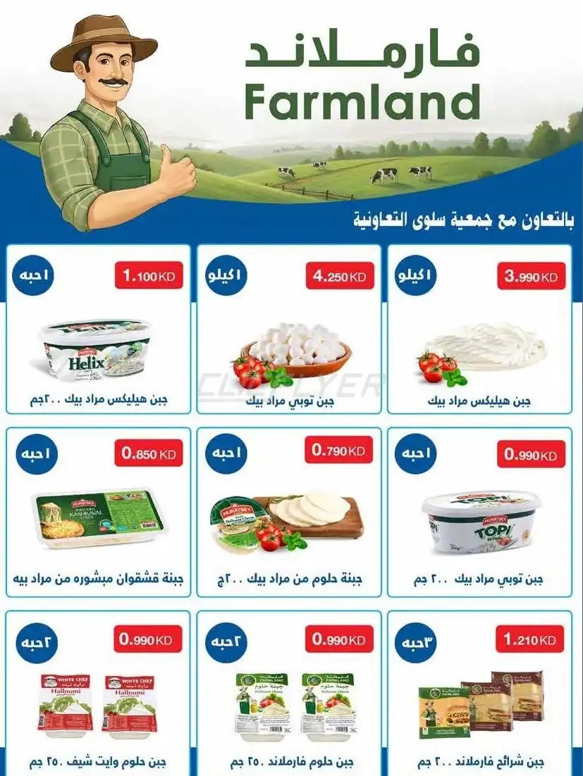 SALWA COOPERATIVE SOCIETY 