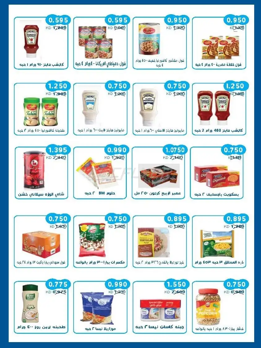 SALWA COOPERATIVE SOCIETY 