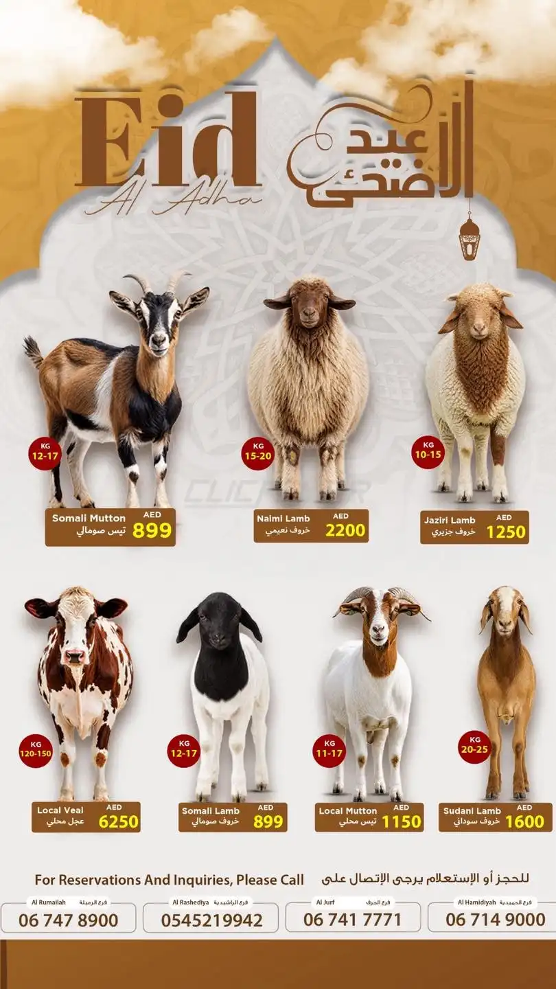 Ajman Coop 