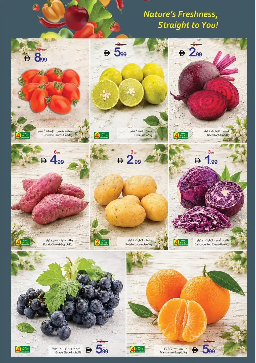 Ajman Coop 