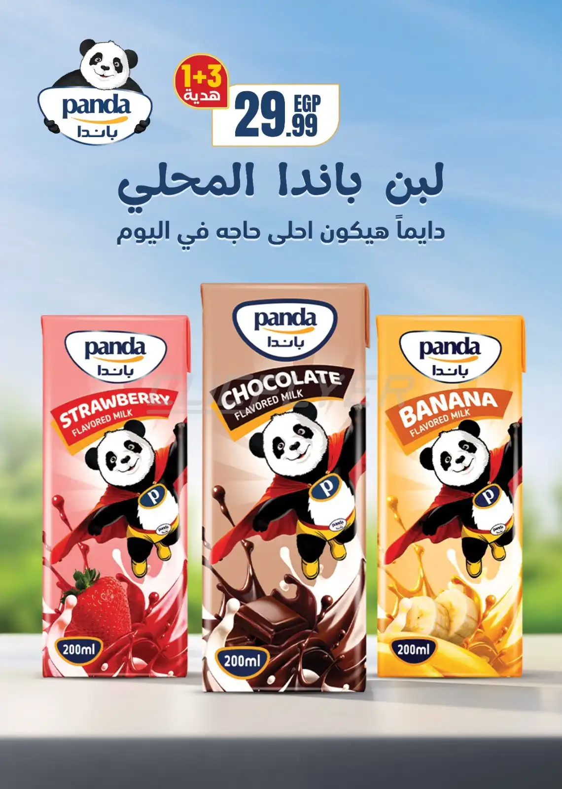 El Mahalawy Stores 