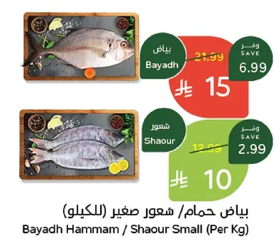 Panda Bayad Fish-Fresh Offers